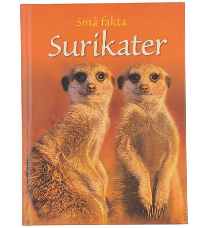 Gads Forlag Bók - Smá staðreyndir - Meerkattar - Danskur