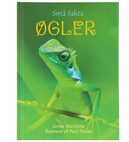 Gads Forlag Book - Small facts - Lizards - Danish