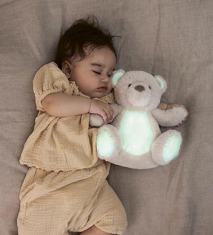 Teddykompaniet Bangsi - Sjállýsandi Björn - 23 cm - Grár