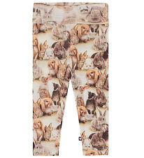 Leggings - Laine Molo - Point - Bébé Rabbits
