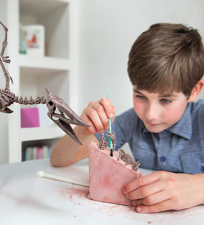 4M KidzLabs - Uppgröftur Pteranodon