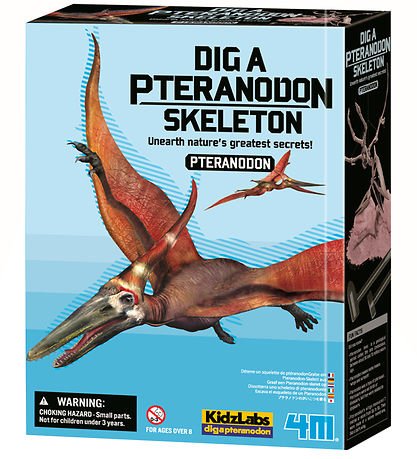 4M KidzLabs - Uppgröftur Pteranodon