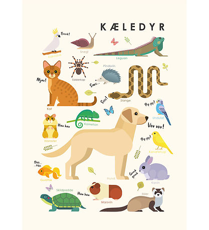 Citatplakat Poster - Children's poster - Pets - A3
