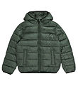 Champion Puffer Jacket - Reversible - Black/Green