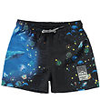 Shorts de Bain Molo - UV50+ - Niko - Plancton