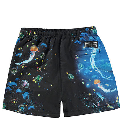 Shorts de Bain Molo - UV50+ - Niko - Plancton