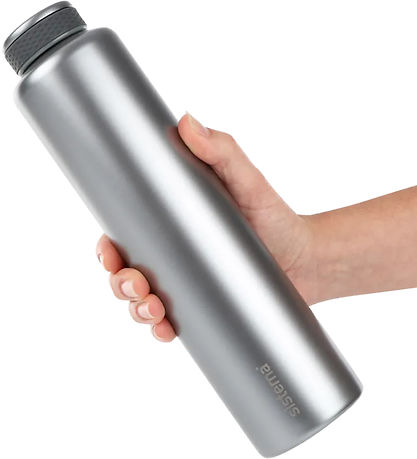 Sistema Termos - Rustfritt Steel - 600 ml - Grå