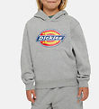 Dickies Kapuzenpullover - Jugendlogo - Heather Grau