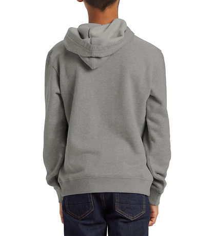 DC Schuhe Kapuzenpullover - Orientierung PH - Grau