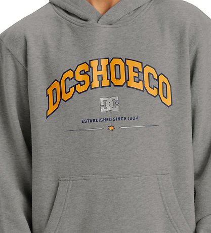 DC Schuhe Kapuzenpullover - Orientierung PH - Grau