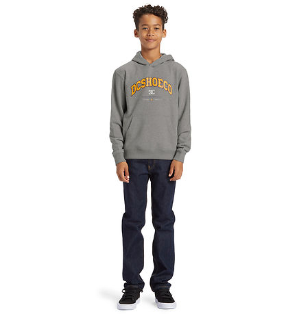 DC Schuhe Kapuzenpullover - Orientierung PH - Grau