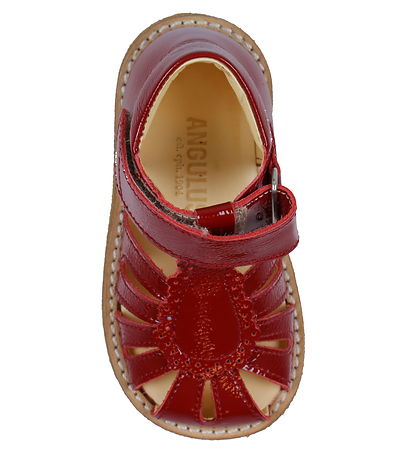 Angulus Sandals - Beginner - Dark Ed
