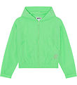 Veste Molo - Haleine - Classic+ Green