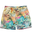 Shorts de Bain Molo - UV50+ - Niko - Dino Paradis
