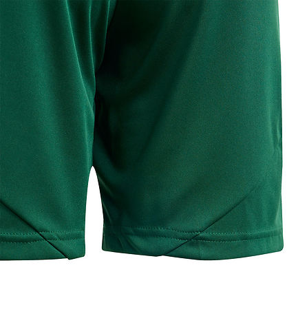 adidas Performance Shorts - Tiro24 SHO Y - Grün/Weiß