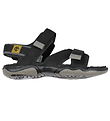 Timberland Sandalar - Ævintýraleitur - Jet Black