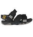 Timberland Sandalar - Ævintýraleitur - Jet Black