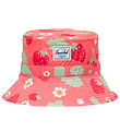 Herschel Bucket Hat - Baby Beach UV - Shell Pink Sweet Strawbe