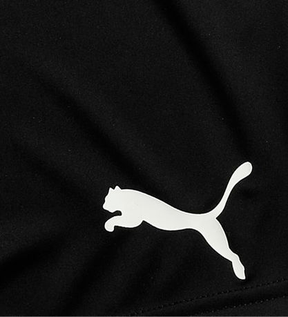 Puma Shorts - Active Interlock - Black