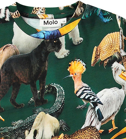 Molo T-shirt - Ralphie - Mixed Animals