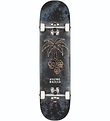 Globe Skateboard - 8'' - G1 Natives - Black/Copper