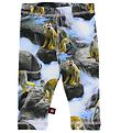 Molo Leggings - Stefanie - Apans år Tryck
