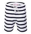 Petit Crabe Swim Shorts - Alex - UV50+ - White/Navy Striped