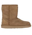 UGG Teddyboots - Classic+ ll - Brun