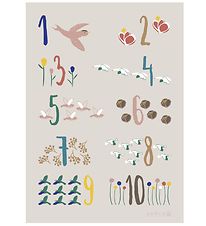 Sebra Poster - Singing Birds