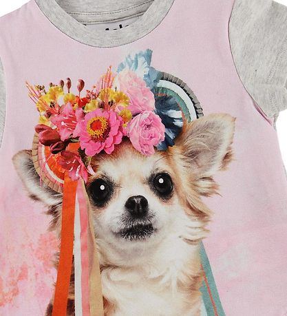 Molo T-shirt - Erin - Grey Melange/Rose w. Chihuahua