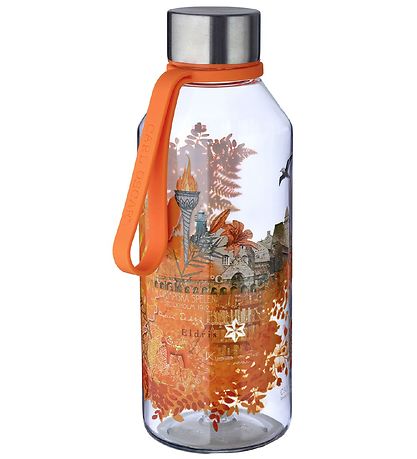 Carl Oscar Water Bottle - WisdomFlask - 650 ml - Fire