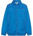 Veste Molo - Hoskin - Royal Blue