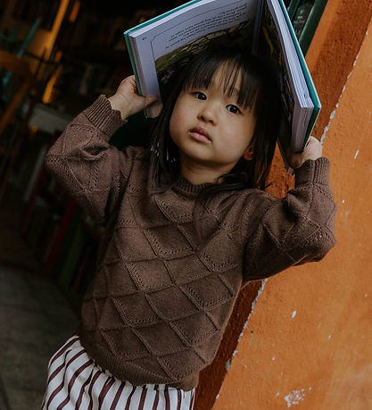 Fliink Blouse - Knitted - Emily - Coffee Bean