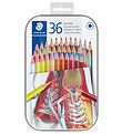 Staedtler 색연필 - 육각형 - 36개