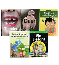 Straarup & Co Buchpaket - 2. Klasse - Gemischt. - 5 Bücher