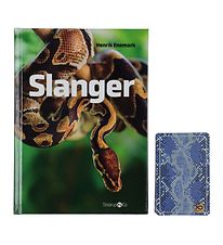 Straarup & Co Buch Sampak - Spiele & Lesen - Schlangen
