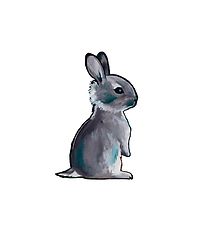Citatplakat Veggspjald - A3 - Sweet Bunny