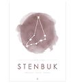 Citatplakat Poster - A3 - Sterrenbeeld - Steenbok - Roze