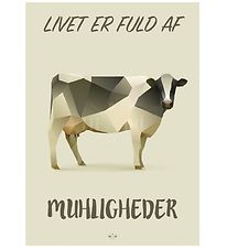 Hipd Poster - 50x70 - Koe