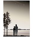 Vissevasse Poster - 30x40 - Friends