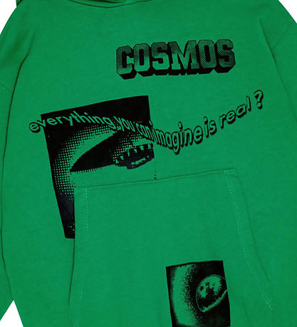 Molo Hoodie - Maxx - Fresh Pine