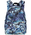 Molo Backpack - Backpack Mio - Dinoverse Molo Backpack - Backpack Mio - Dinoverse