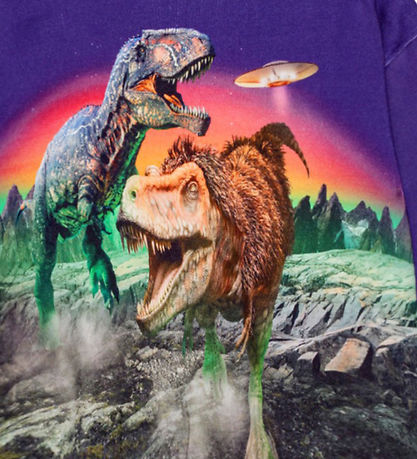 Sweat-shirt Molo - Mattis - Dino Play Sweat-shirt Molo - Mattis - Dino Play