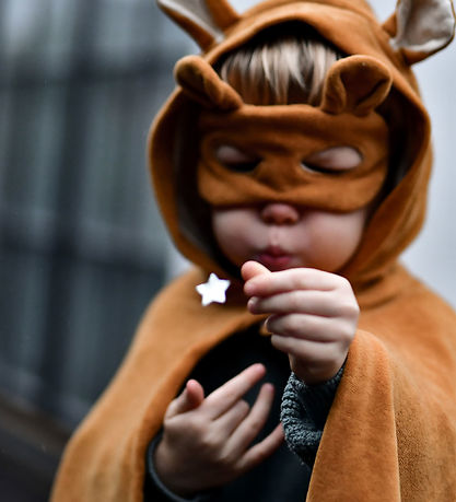 Fabelab Costume - Animal Mask - Bear - Ochre