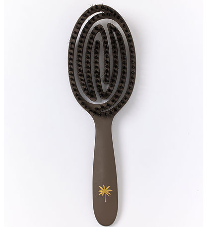 Fan Palm Hairbrush - Large - Coco
