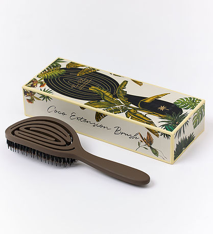 Fan Palm Hairbrush - Large - Coco