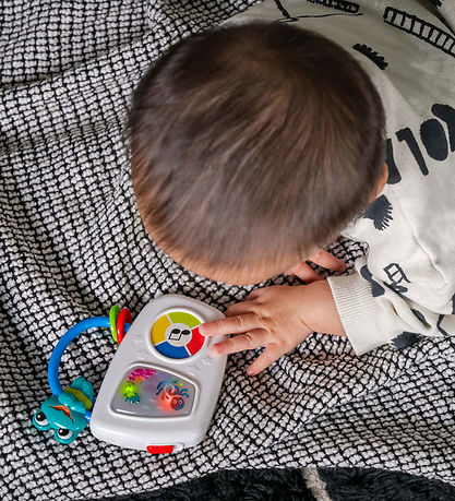Baby Einstein 뮤지컬 장난감 - 해양 멜로디