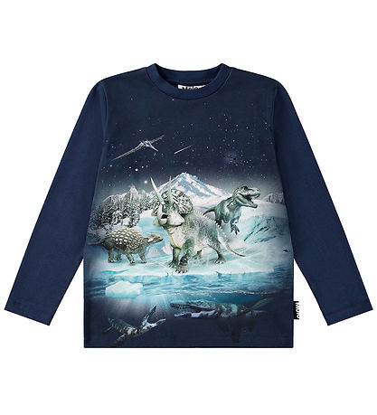Molo Bluse - Reif - Dino Nacht