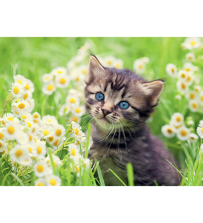 Puzzle Ravensburger - 500 Briques - Chaton dans le pré Puzzle Ravensburger - 500 Briques - Chaton dans le pré