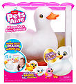 Pets Alive Soft Toy - 30 cm - Mama Duck w. Music